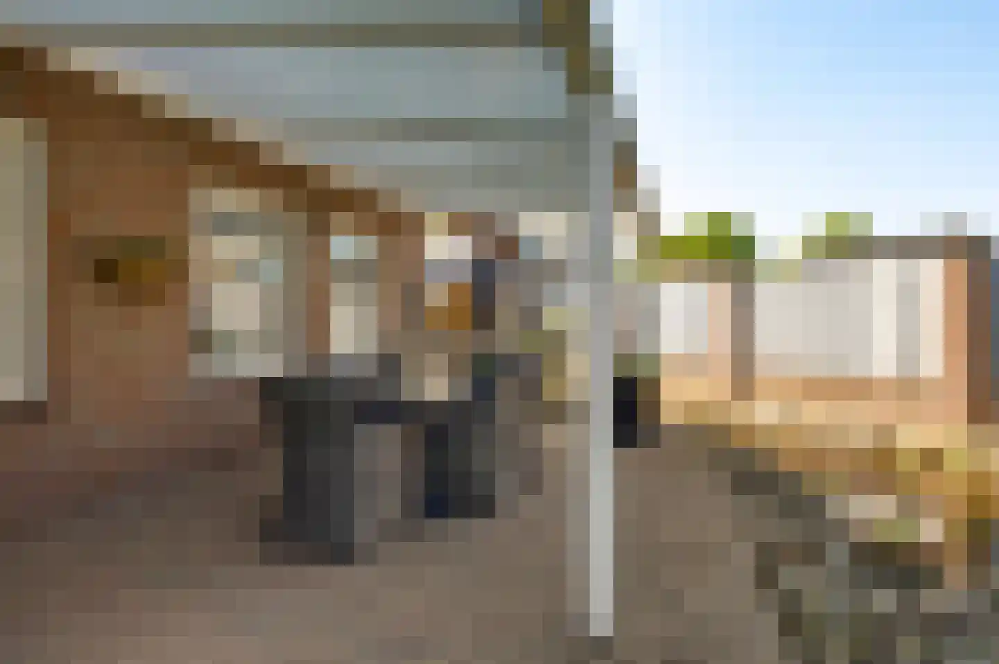 Tichelveld 52 Nederweert thumbnail 33
