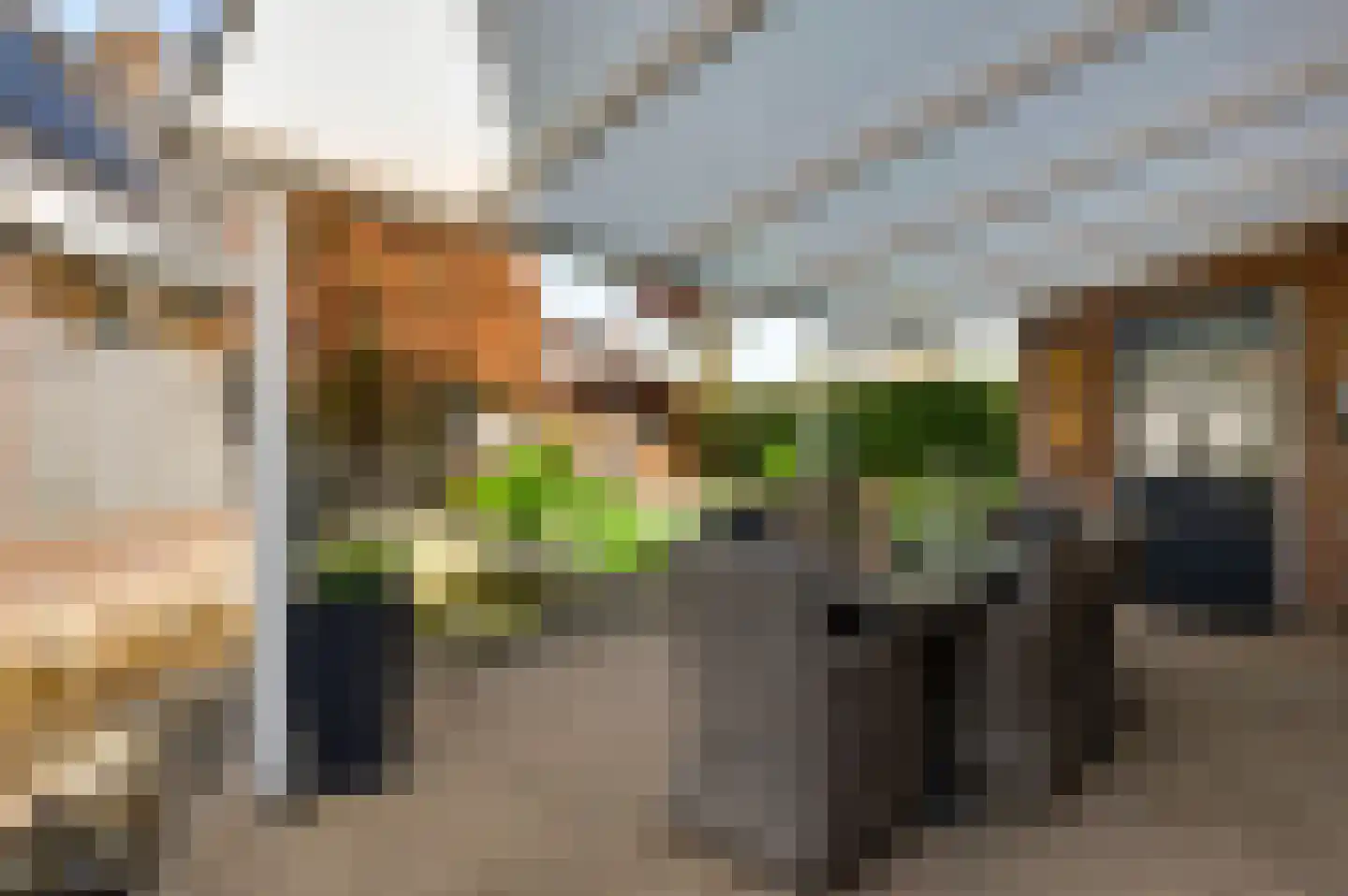 Tichelveld 52 Nederweert thumbnail 34