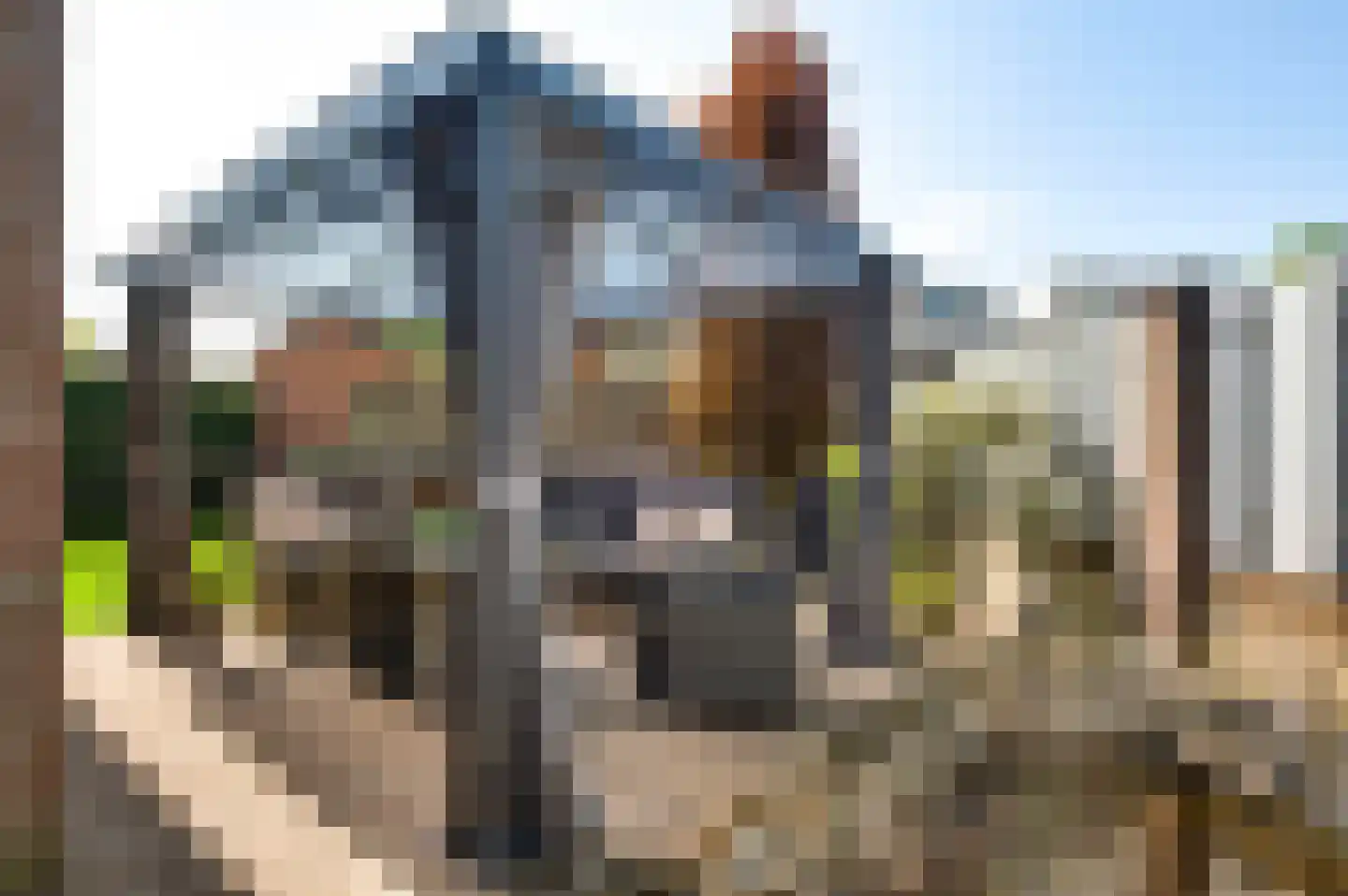 Tichelveld 52 Nederweert thumbnail 36