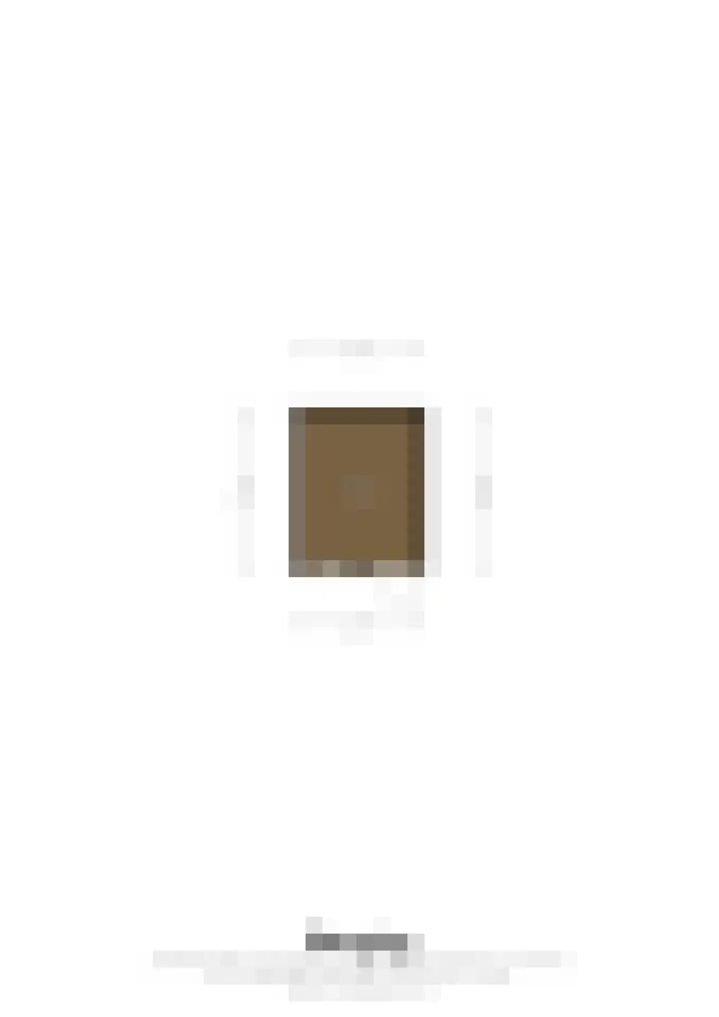 Tichelveld 52 Nederweert thumbnail 47