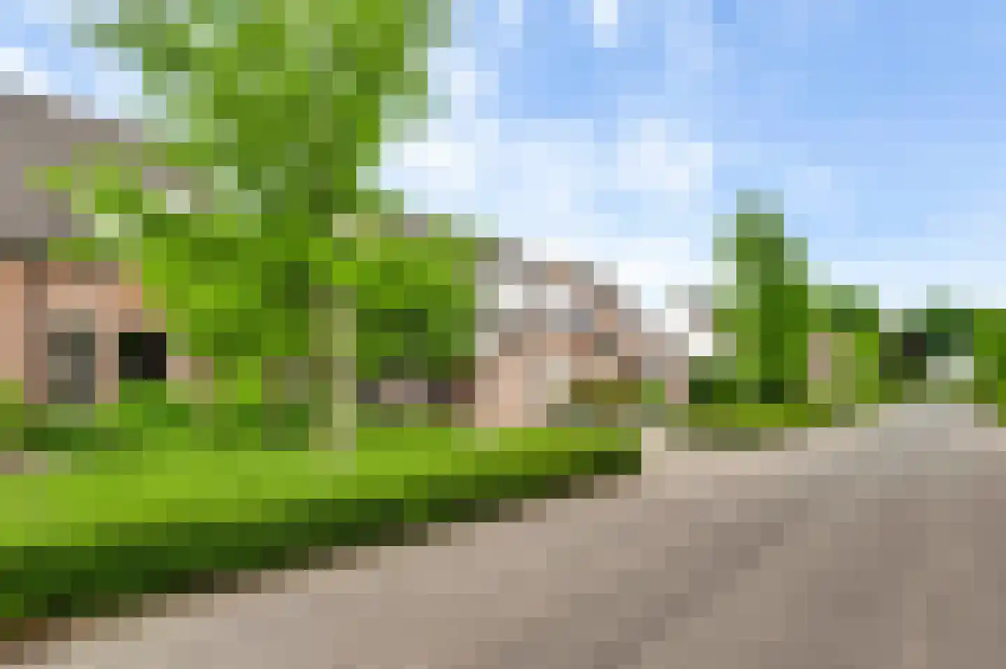 Tichelveld 81 Nederweert thumbnail 30