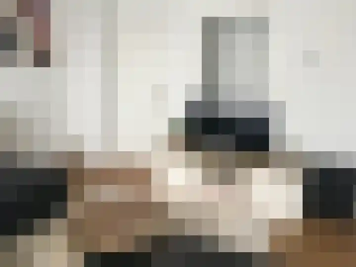 Tichelweg 13 Bad Nieuweschans thumbnail 16