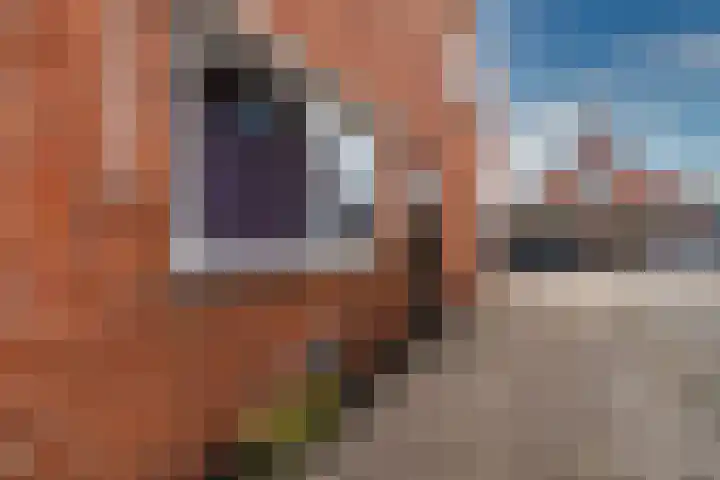 Tichelweg 13 Bad Nieuweschans thumbnail 8