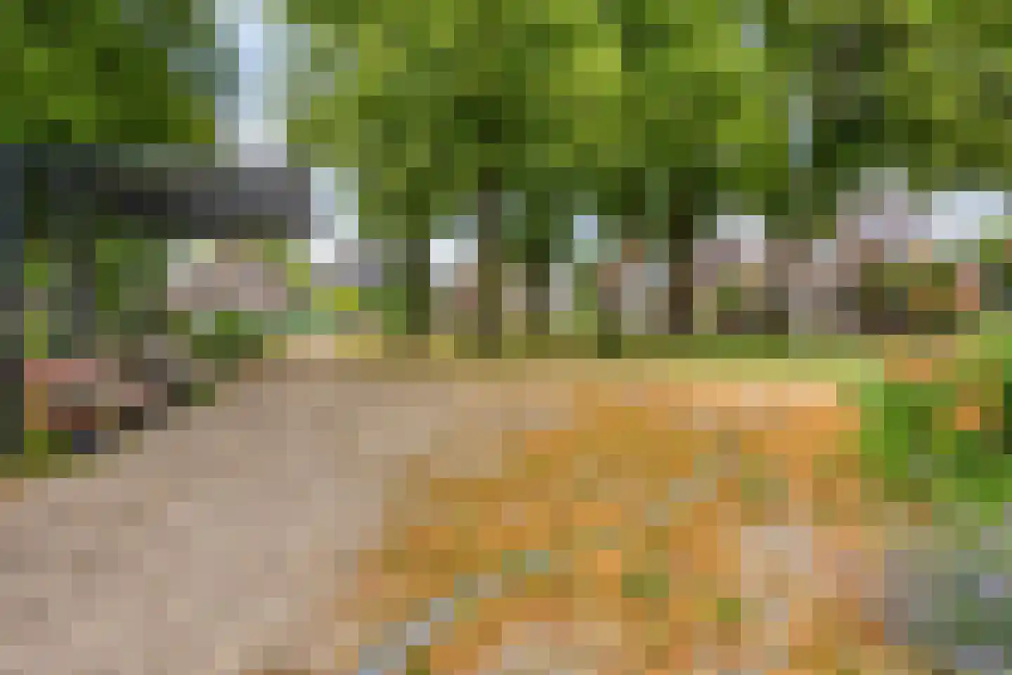 Tichelweg 14 Borne thumbnail 28