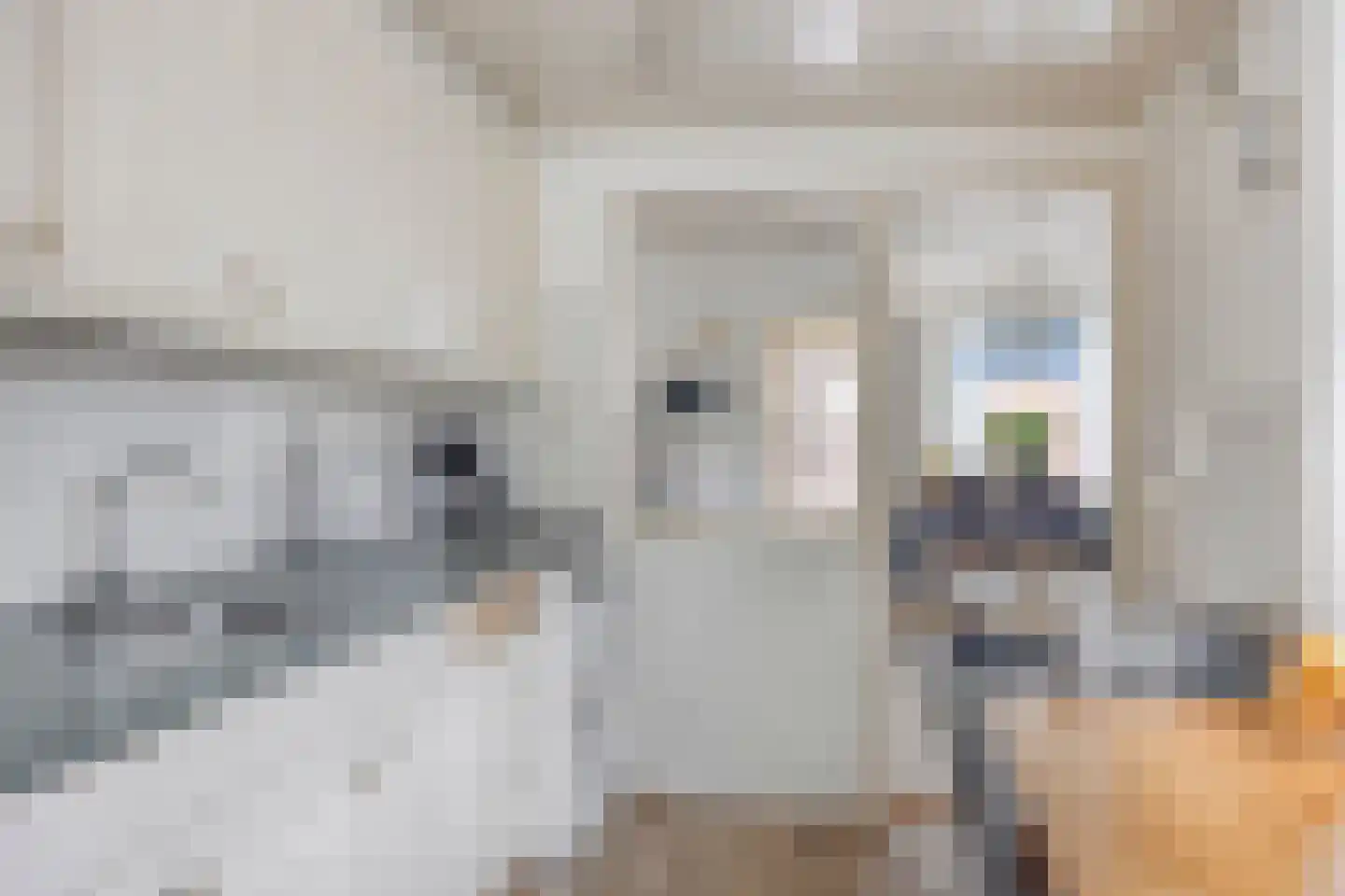 Tichelweg 14 Borne thumbnail 7
