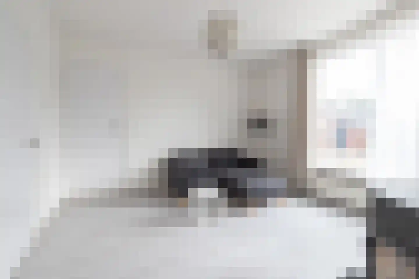 Tichelweg 17 Bad Nieuweschans thumbnail 13