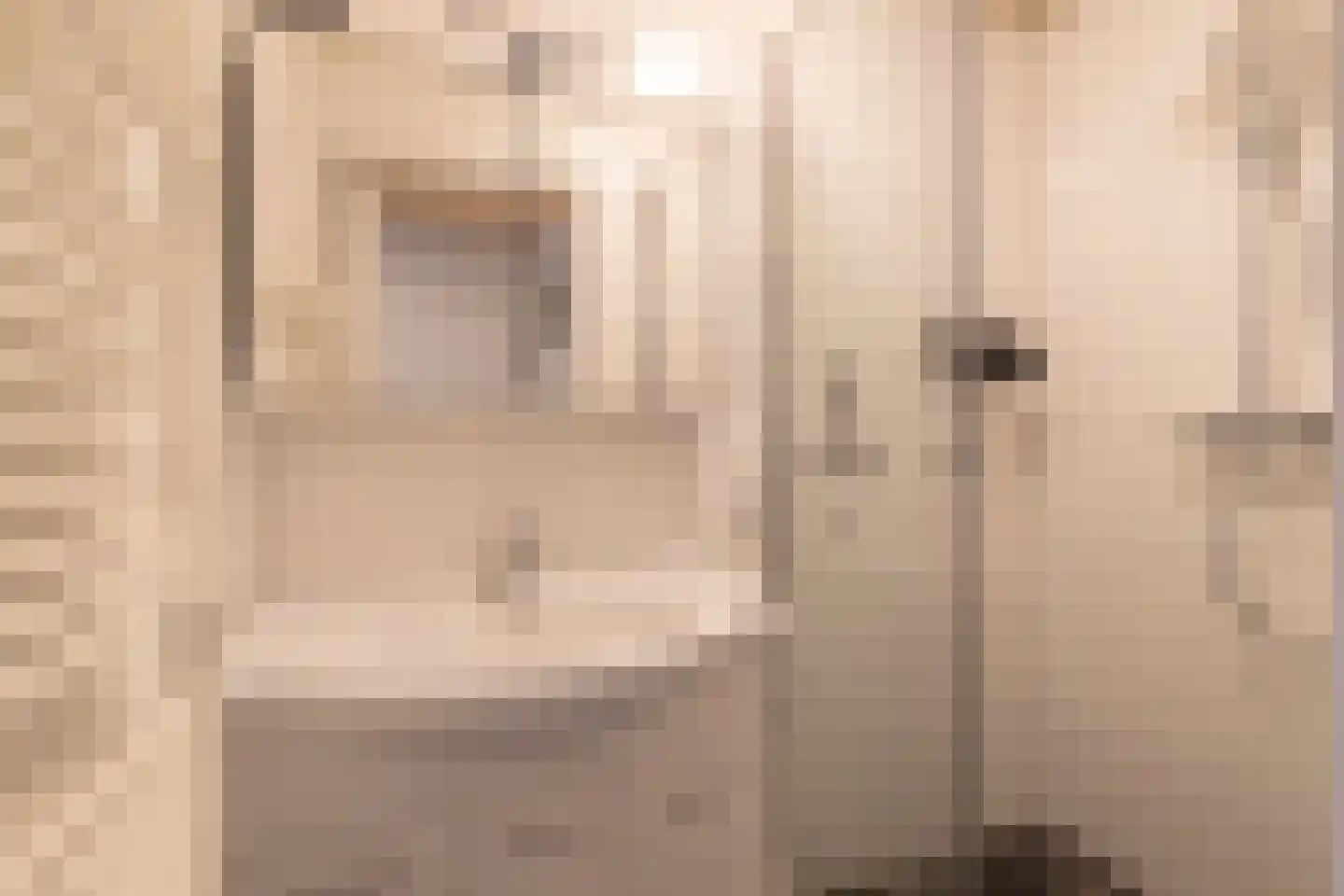 Tichelweg 17 Bad Nieuweschans thumbnail 35