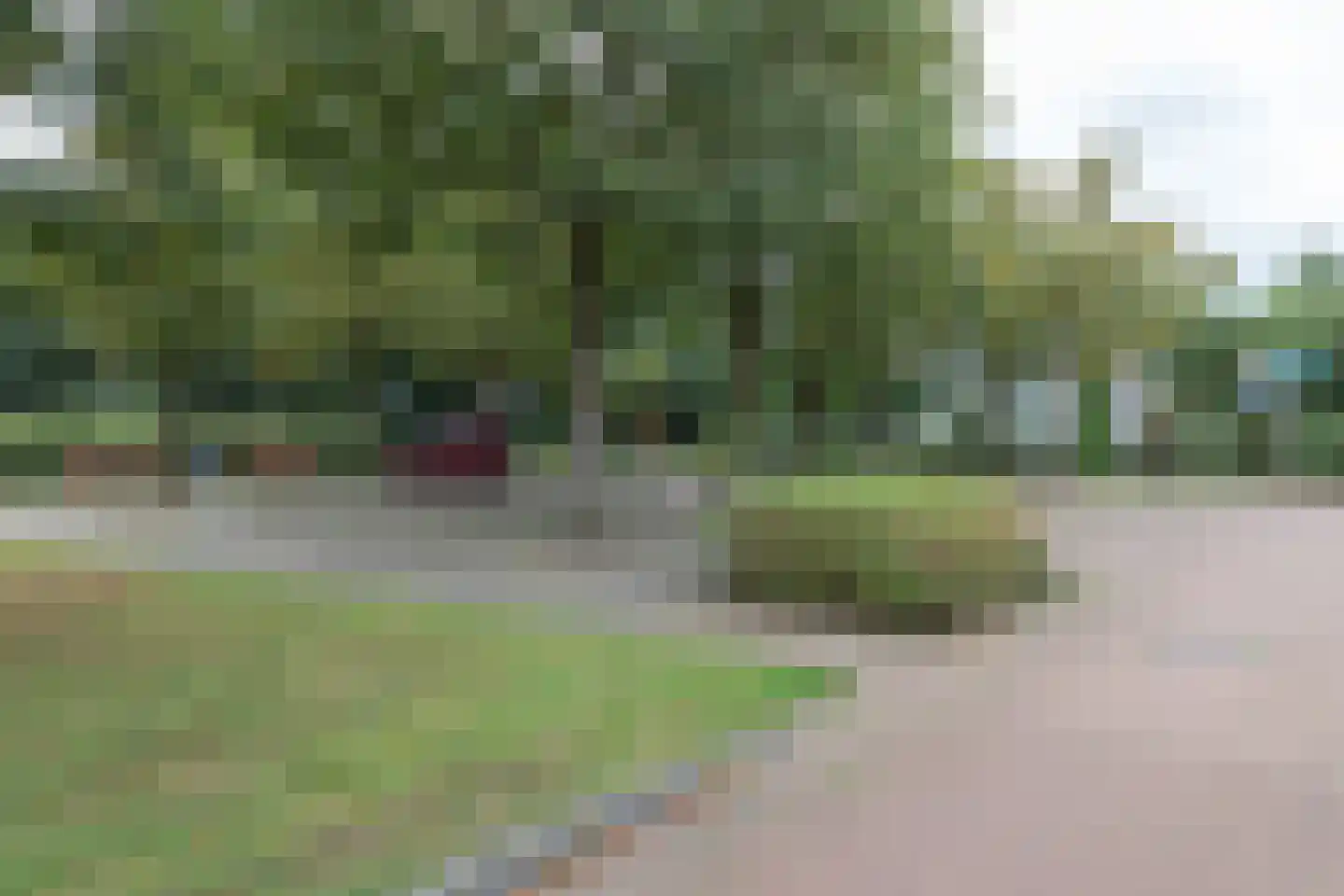 Tichelweg 17 Bad Nieuweschans thumbnail 44