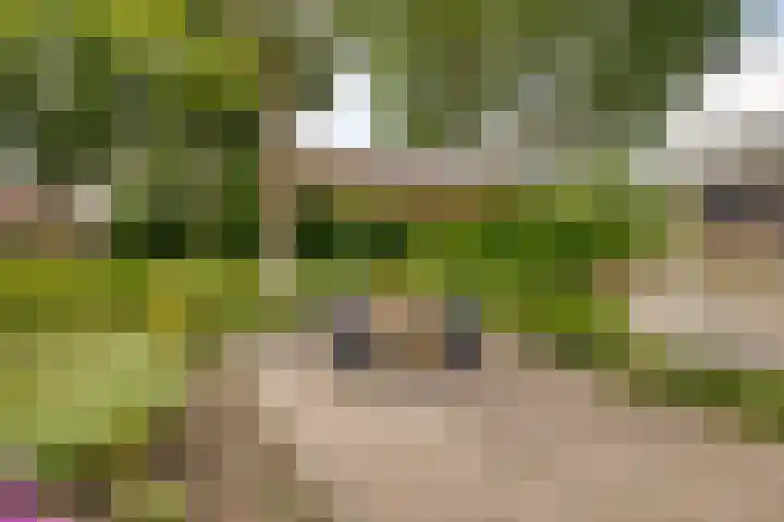 Tichelweg 19 Bad Nieuweschans thumbnail 13