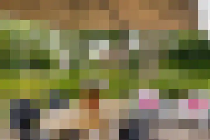 Tichelweg 19 Bad Nieuweschans thumbnail 14