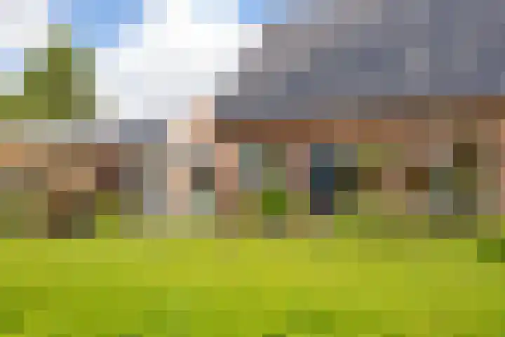 Tichelweg 19 Bad Nieuweschans thumbnail 15