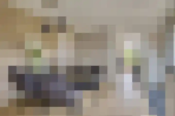 Tichelweg 19 Bad Nieuweschans thumbnail 17