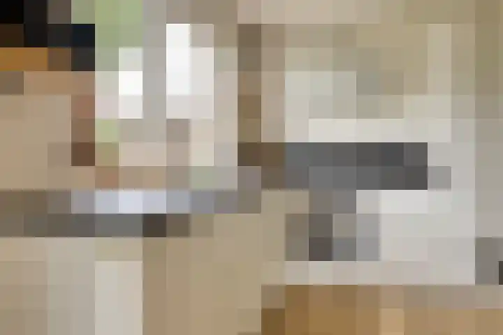Tichelweg 19 Bad Nieuweschans thumbnail 18