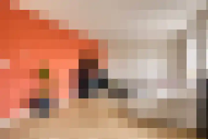 Tichelweg 19 Bad Nieuweschans thumbnail 26