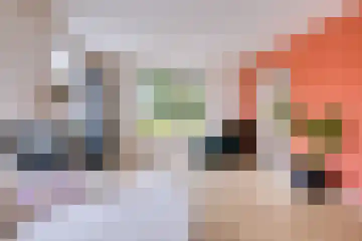 Tichelweg 19 Bad Nieuweschans thumbnail 29