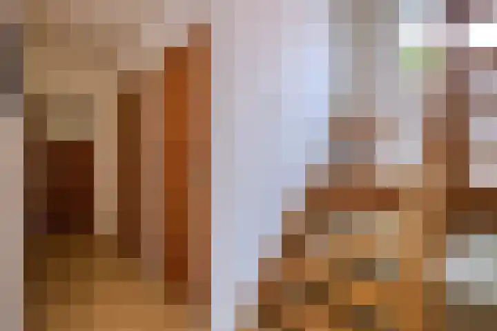Tichelweg 19 Bad Nieuweschans thumbnail 30