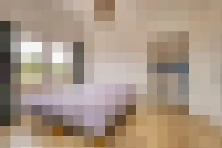 Tichelweg 19 Bad Nieuweschans thumbnail 36