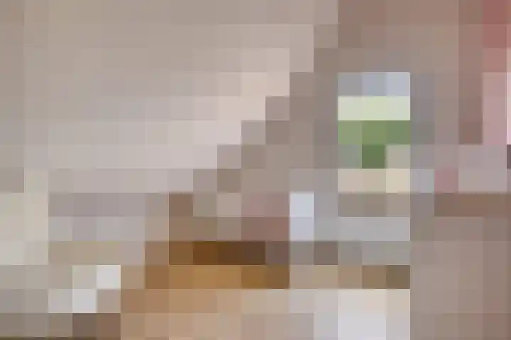 Tichelweg 19 Bad Nieuweschans thumbnail 38