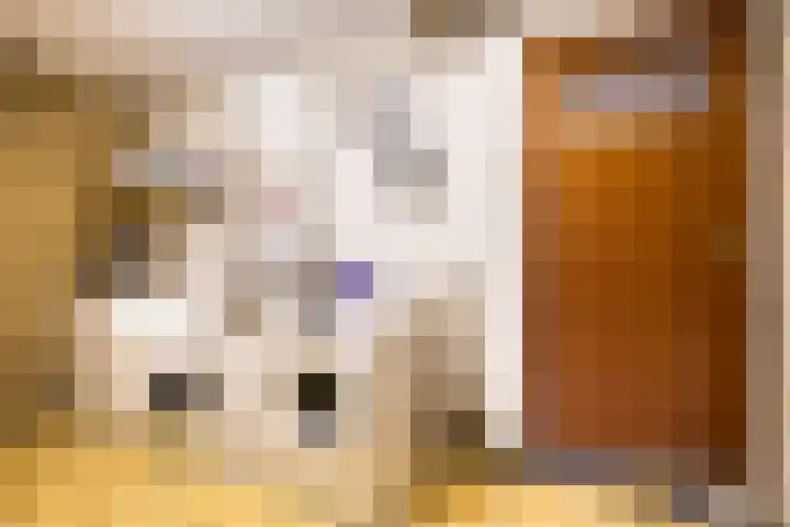 Tichelweg 19 Bad Nieuweschans thumbnail 42