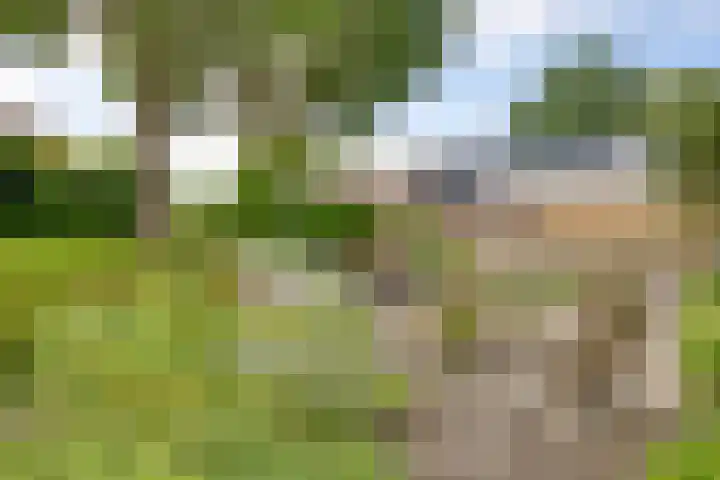 Tichelweg 19 Bad Nieuweschans thumbnail 46