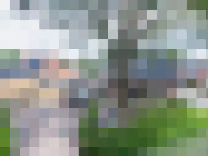 Tichelweg 19 Bad Nieuweschans thumbnail 5