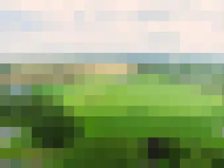 Tichelweg 19 Bad Nieuweschans thumbnail 53