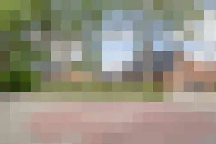 Tichelweg 19 Bad Nieuweschans thumbnail 56