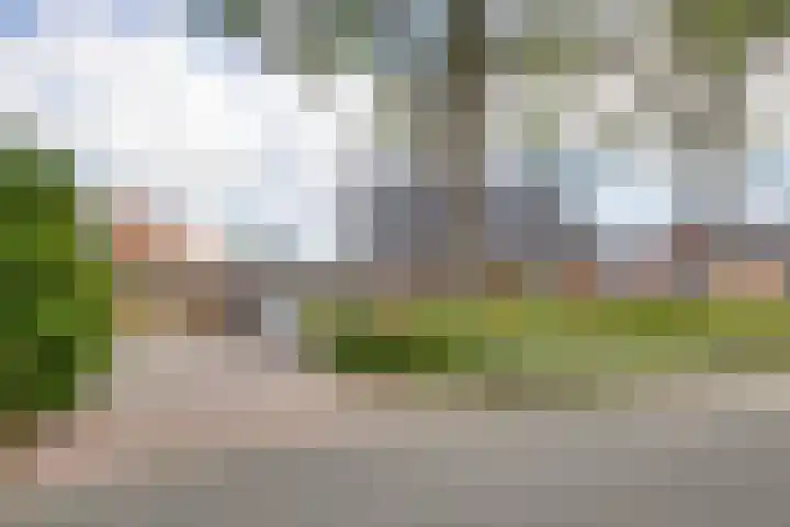 Tichelweg 19 Bad Nieuweschans thumbnail 8