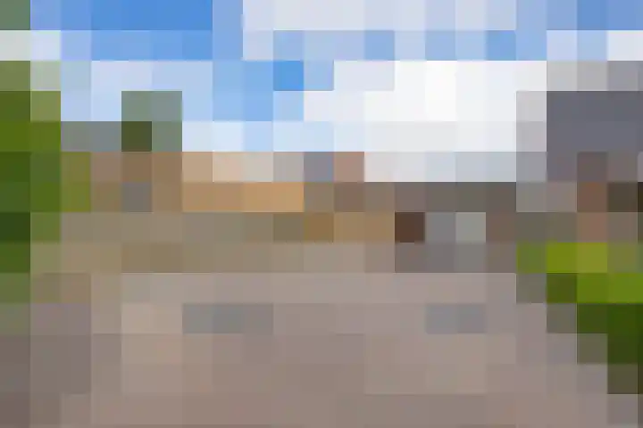 Tichelweg 19 Bad Nieuweschans thumbnail 9