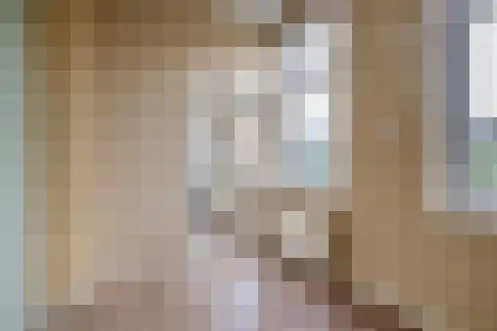 Tichelweg 2 Bad Nieuweschans thumbnail 20