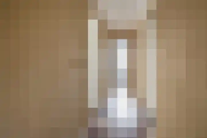 Tichelweg 2 Bad Nieuweschans thumbnail 21