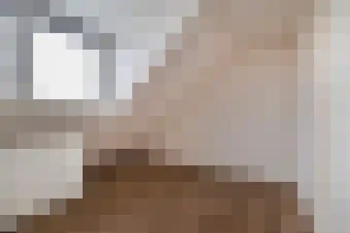 Tichelweg 2 Bad Nieuweschans thumbnail 22