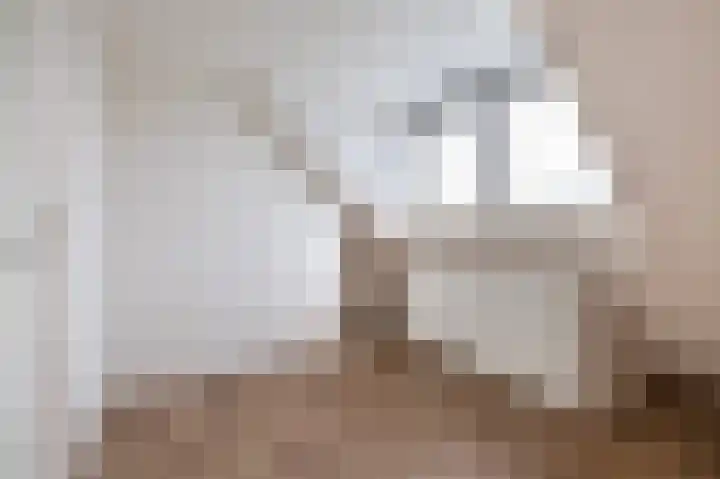 Tichelweg 2 Bad Nieuweschans thumbnail 23