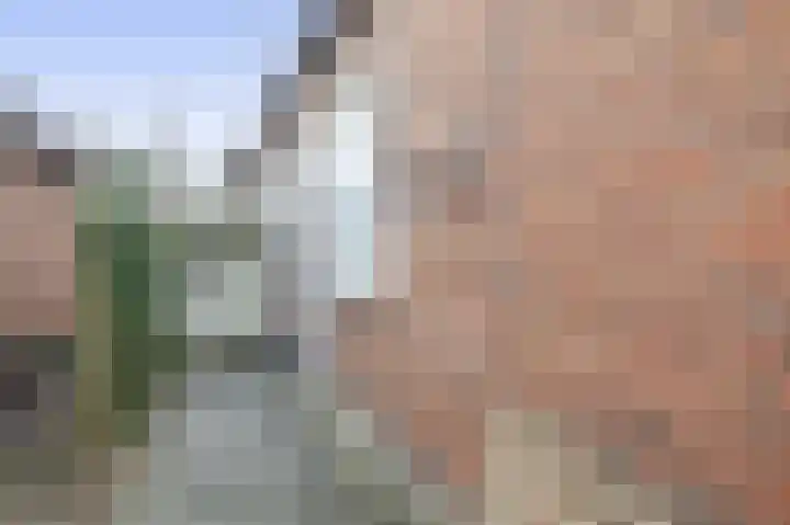 Tichelweg 2 Bad Nieuweschans thumbnail 5