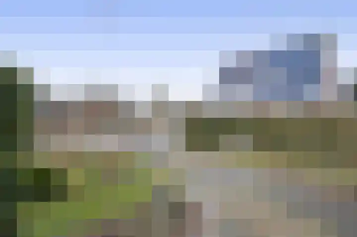 Tichelweg 2 Bad Nieuweschans thumbnail 6