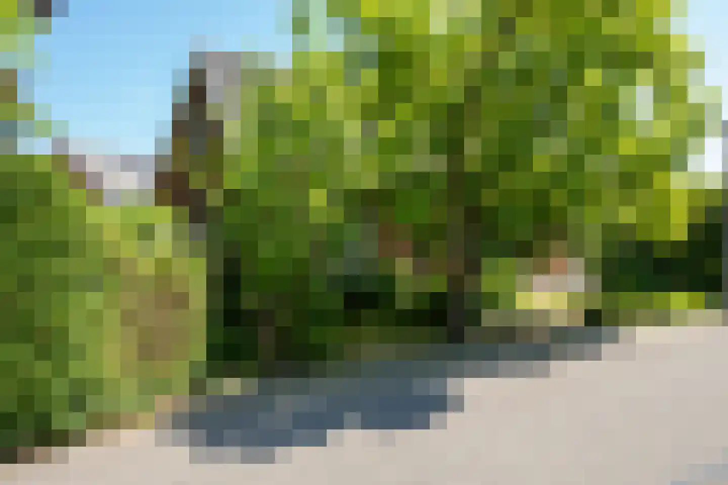 Tichelweg 50 Borne thumbnail 38