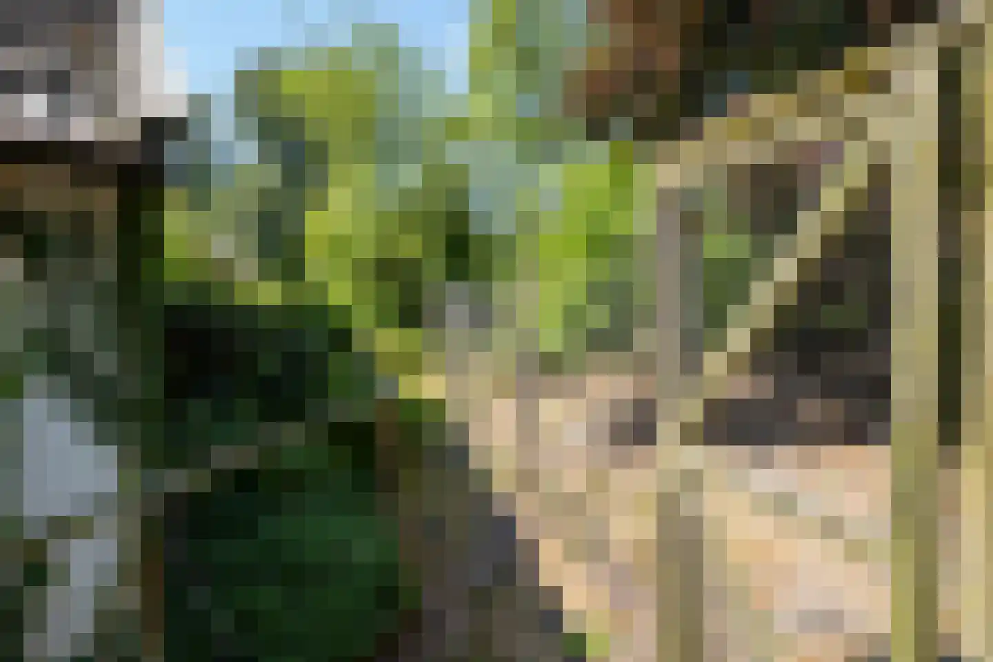 Tichelweg 50 Borne thumbnail 47