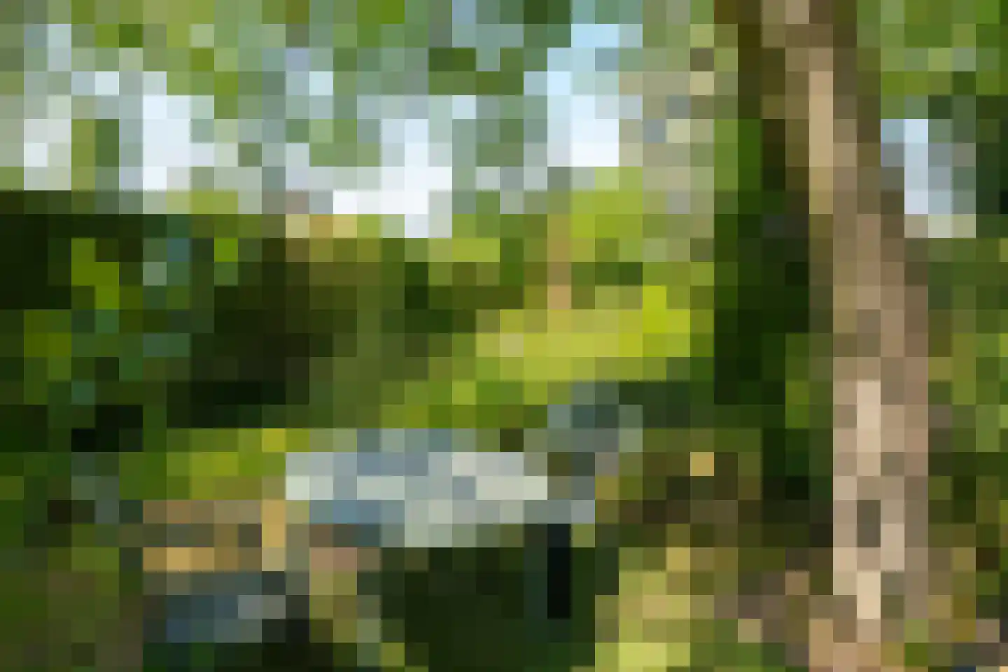 Tichelweg 50 Borne thumbnail 49