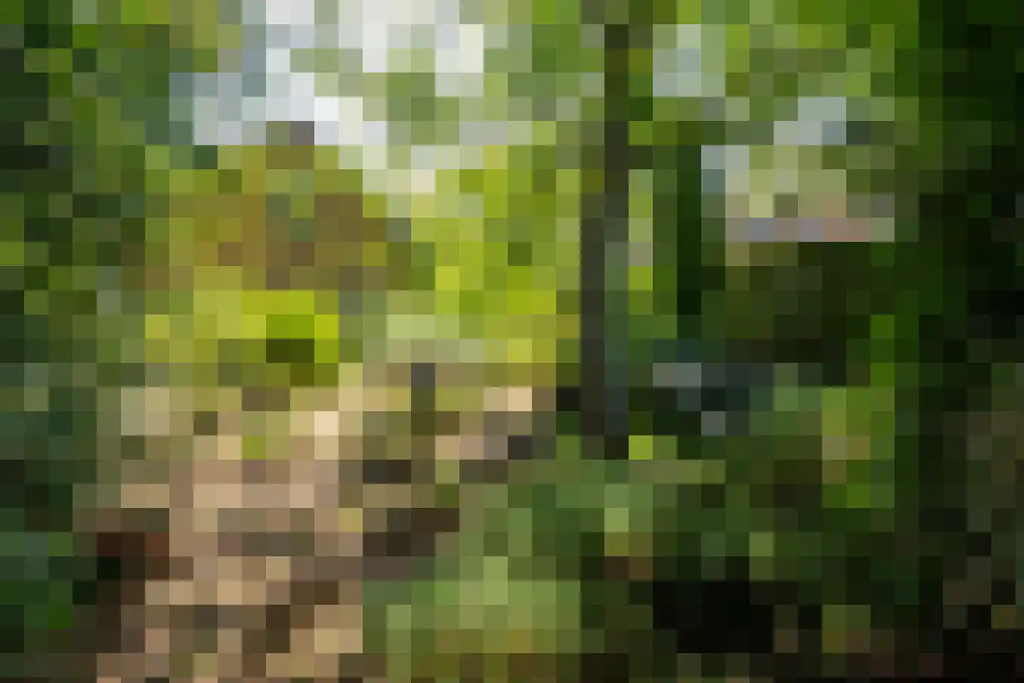 Tichelweg 50 Borne thumbnail 50