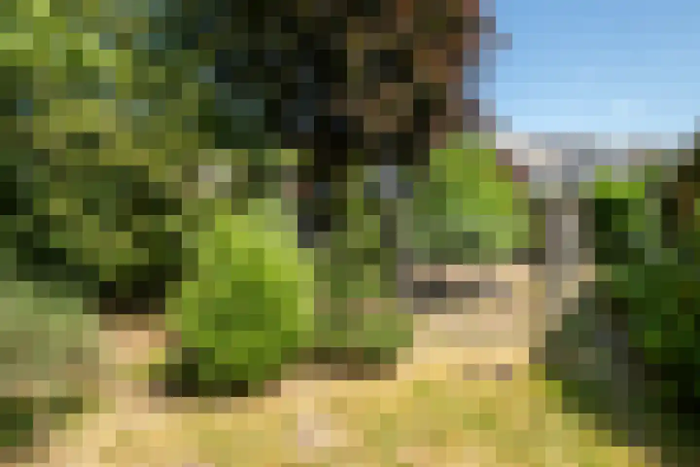 Tichelweg 50 Borne thumbnail 51