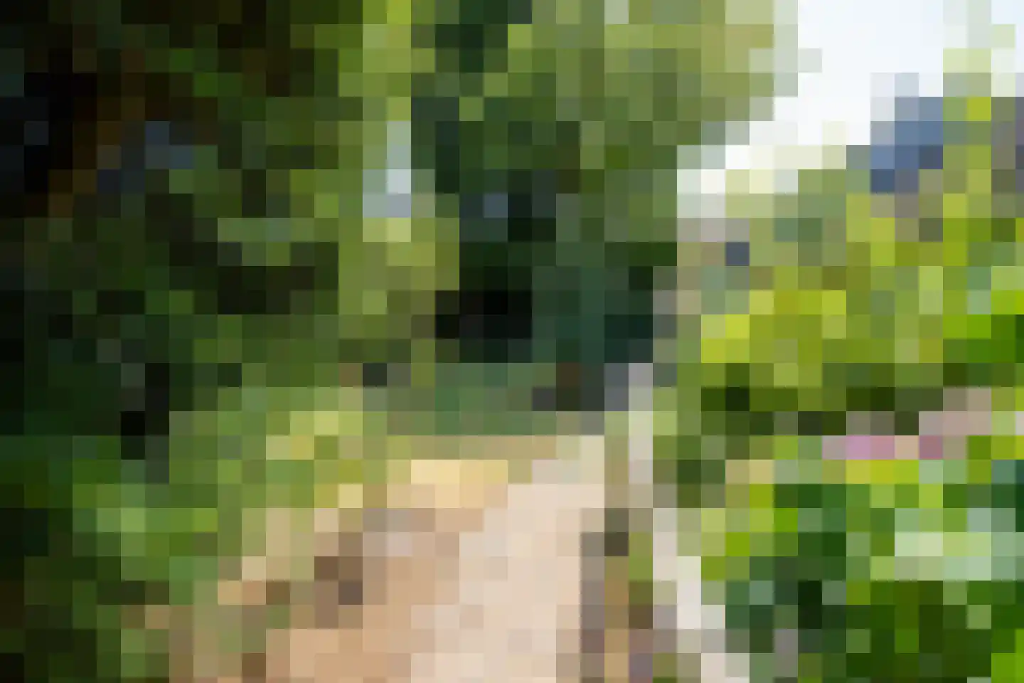 Tichelweg 50 Borne thumbnail 52