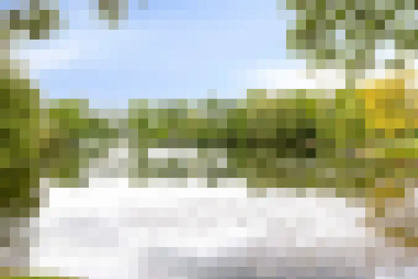 Tichelweg 51 Borne thumbnail 38