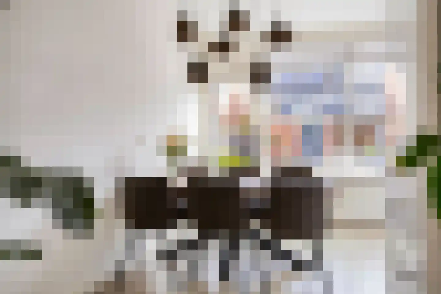 Tichelweg 51 Borne thumbnail 4
