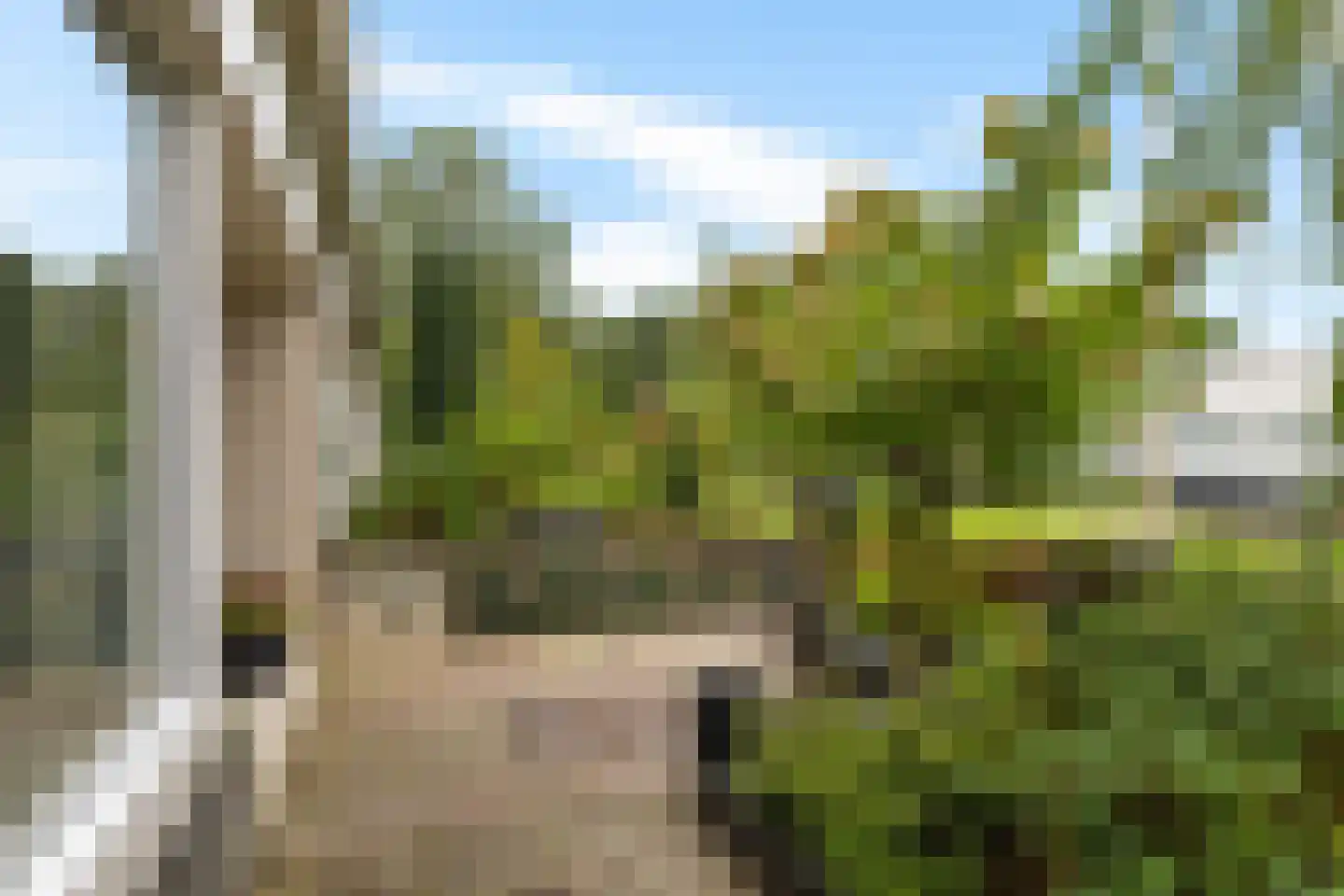 Tichelwerk 44 Delfzijl thumbnail 16