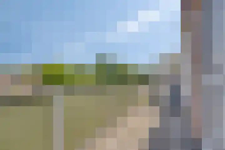 Tichelwerkstraat 120 Hoogeveen thumbnail 14