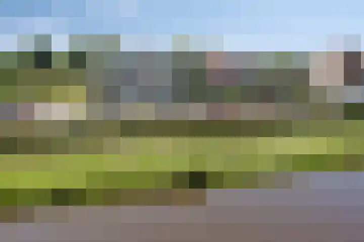 Tichelwerkstraat 120 Hoogeveen thumbnail 23