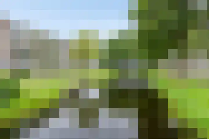 Tichelwerkstraat 26 Hoogeveen thumbnail 29