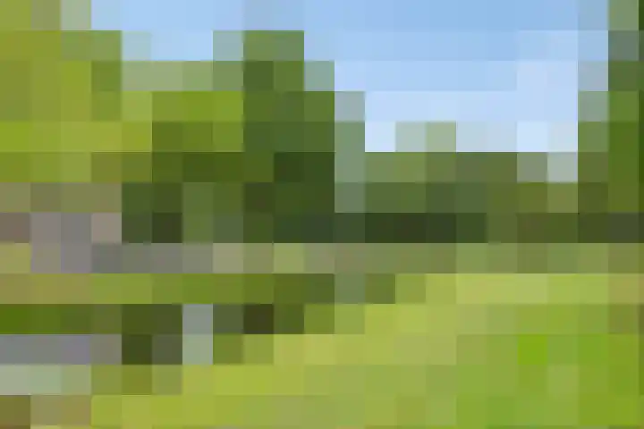 Tichelwerkstraat 26 Hoogeveen thumbnail 30