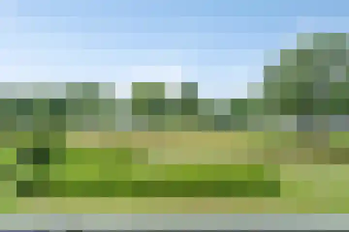 Tichelwerkstraat 26 Hoogeveen thumbnail 4