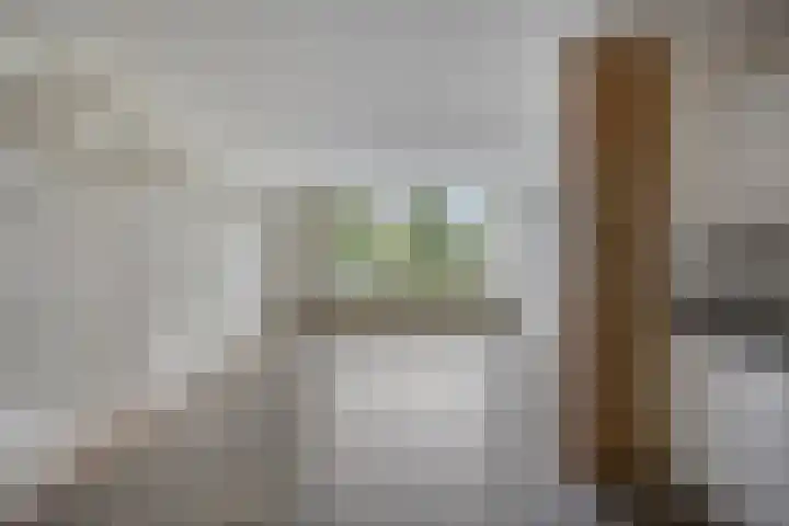 Tichelwerkstraat 44 Hoogeveen thumbnail 11